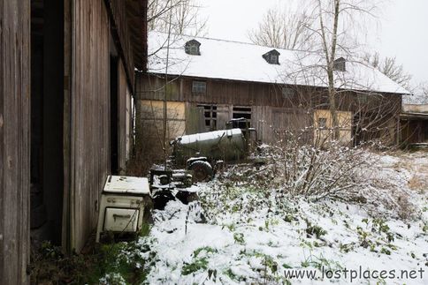 DSC_9718 b