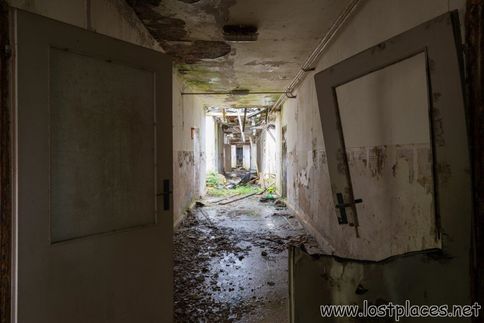 DSC_9168 b