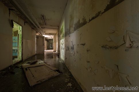 DSC_9194 b