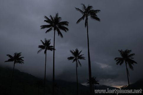 DSCF9671
