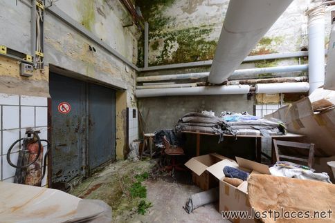 DSC_2528