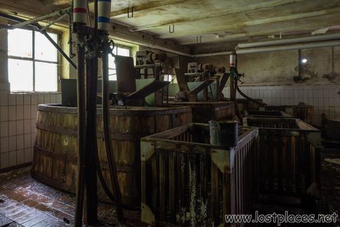 DSC_2707 b