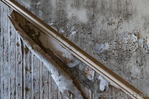 DSC_6547 b