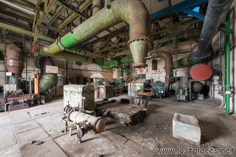 DSC_1537 b