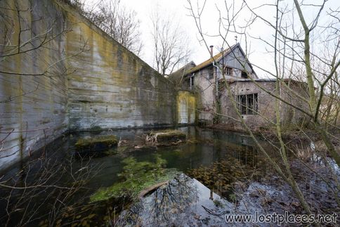 DSC_1541 b