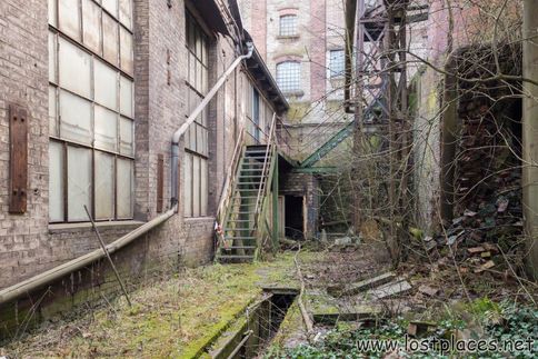 DSC_1545 b