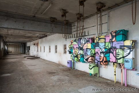 DSC_8997 b