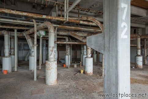 DSC_9028 b