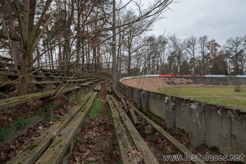 DSC_5539 b