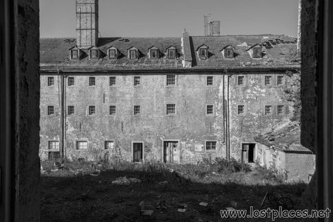 DSC_7876 b