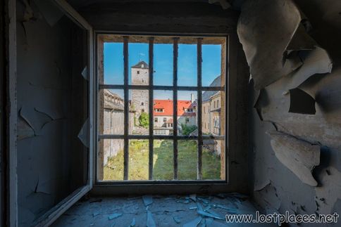 DSC_7905 b