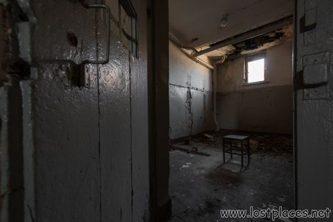DSC_7910 b