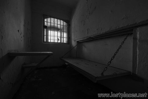 DSC_7979 b