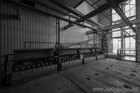 DSC_4443 b