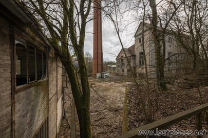 DSC_9982 b
