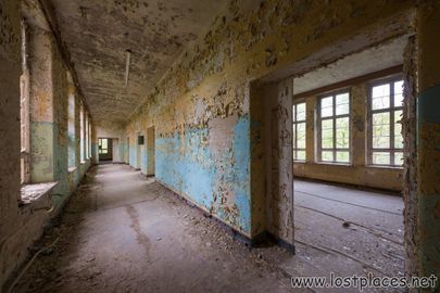 DSC_0907 b