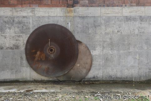 DSC_4151