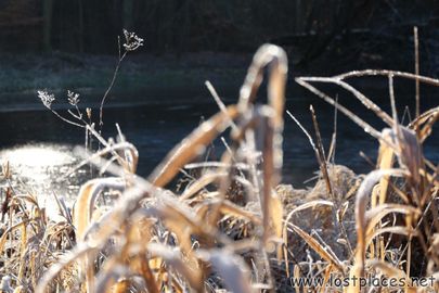DSCF3269