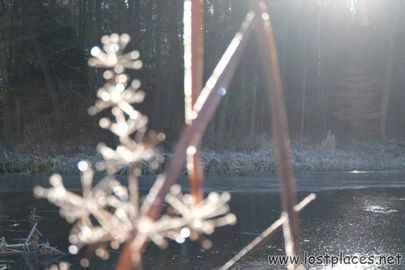 DSCF3329
