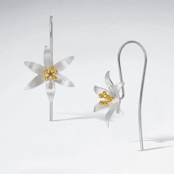 C14D4985-EB11-48F8-84DA-108EBCE89F53_4_5005_c