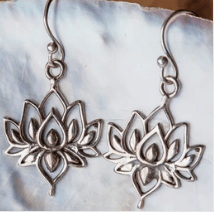 Screenshot 2024-11-15 at 12.29.24