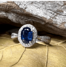 Screenshot 2024-11-15 at 12.54.34