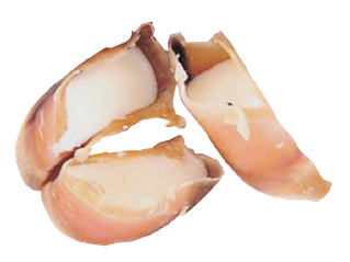 Okseklove m. Fyld