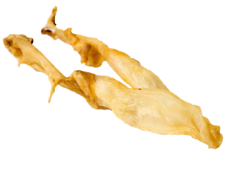 Kaninører