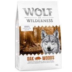Adult Wild Boar