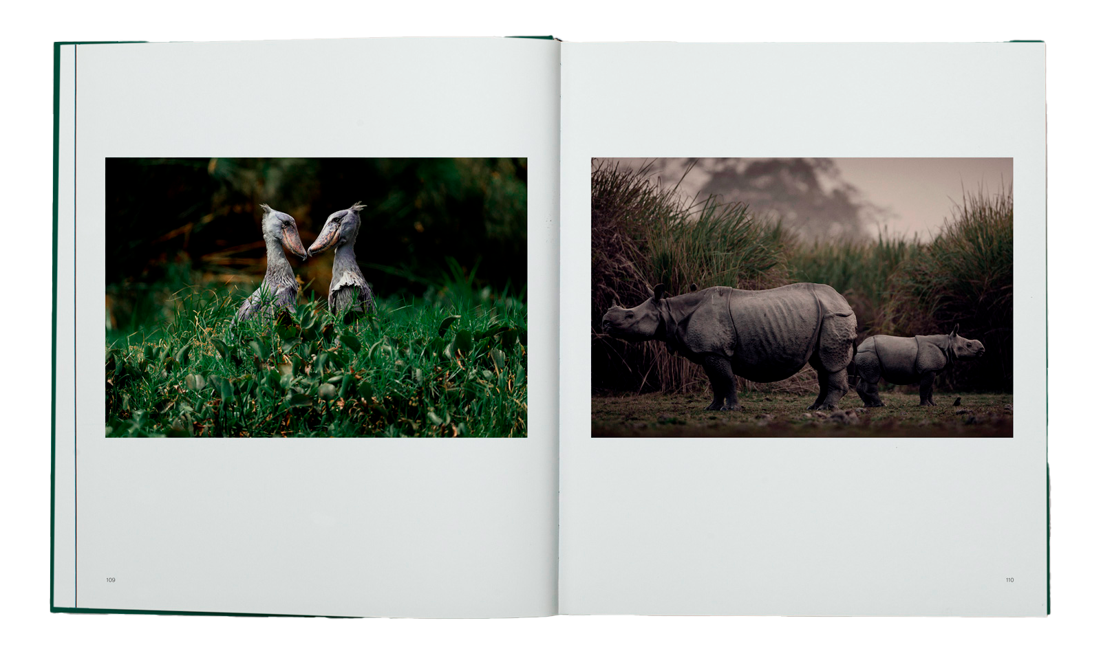 WILD /  Helle & Uri Løvevild Golman    w WILD / Helle & Uri Løvevild Golman w 30 Wildlife Photos With