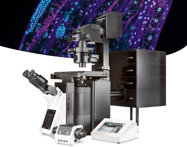 Confocal microscope FV4000