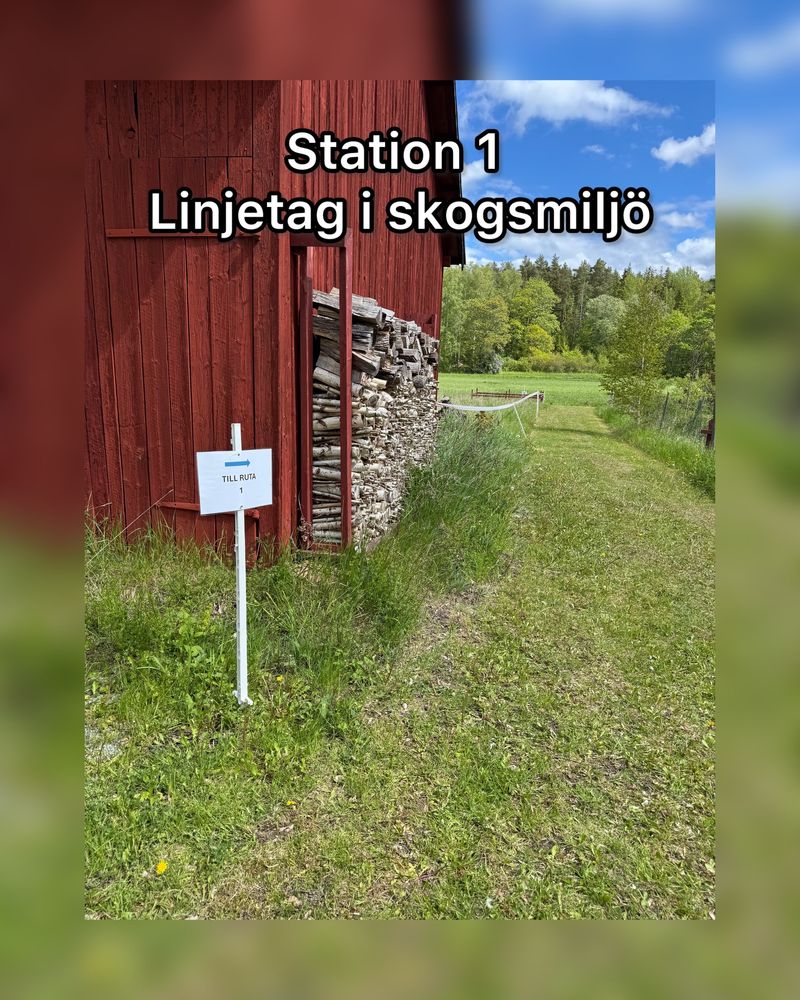 station1