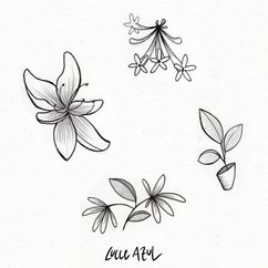 Fleurs et plantes - de 100 à 150 €