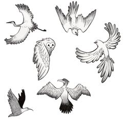 Oiseaux - de 150 à 200 €