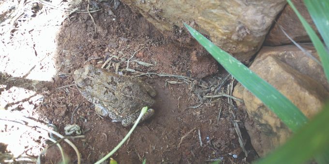 Gwe zisanga azigumira, ekikere kisula kitudde
