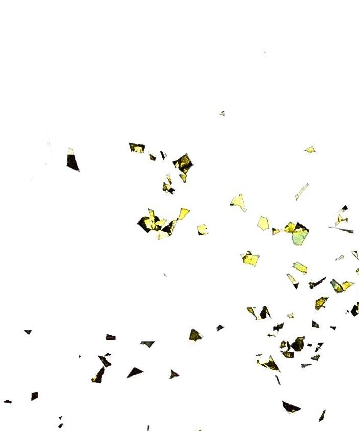 unsplash_PgP9L5CWI38