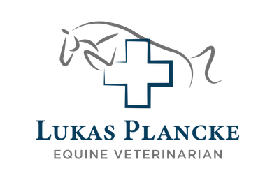 Lukas Plancke