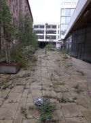 through the cracks in the concrete