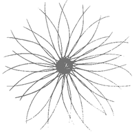 Luke's Flower