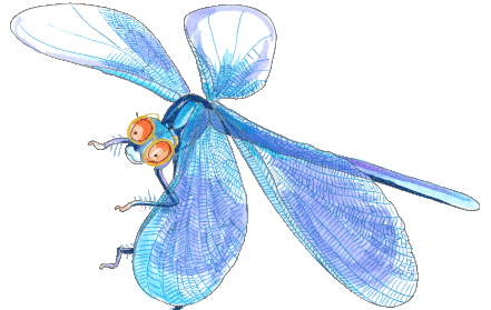 lesmateriaal, lesvoorbereiding, insecten, lente, kevers lesmateriaal, lesvoorbereiding, insecten, lente, kevers