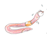 Kinderboek, keverdokter, keverziekenhuis