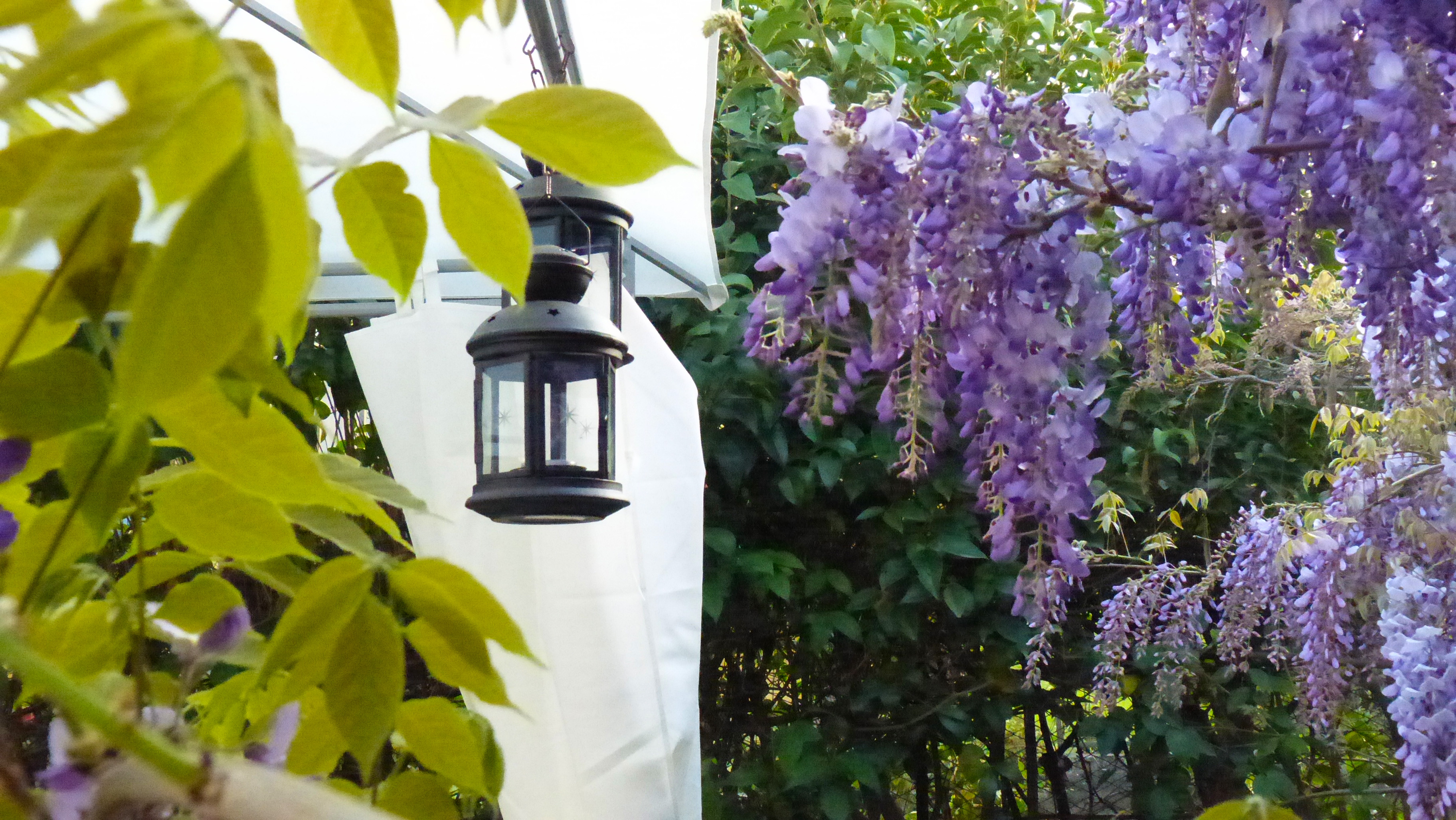 Luna Lombarda garden