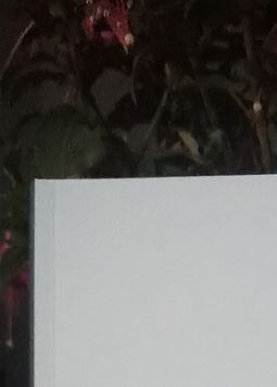 Une seconde peau très tentante pour mon ouvrage !