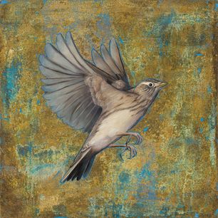 Lærke/Sky Lark - 50x50 cm - SOLD