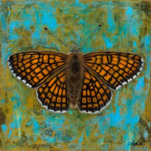 Okkergul Pletvinget / Glanville Fritillary - 120x120 cm  SOLD