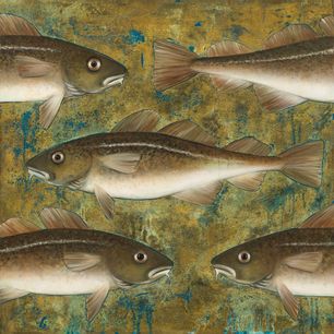 Torsk/Cod - 80x80 cm - SOLD