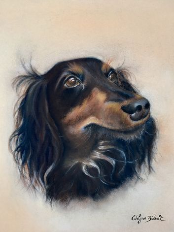 « Gaïa »
Pastel sec
43 x 43 encadré 