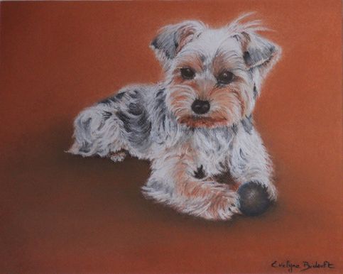 « Jazy »
Pastels secs