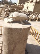 IMG_20191118_092437