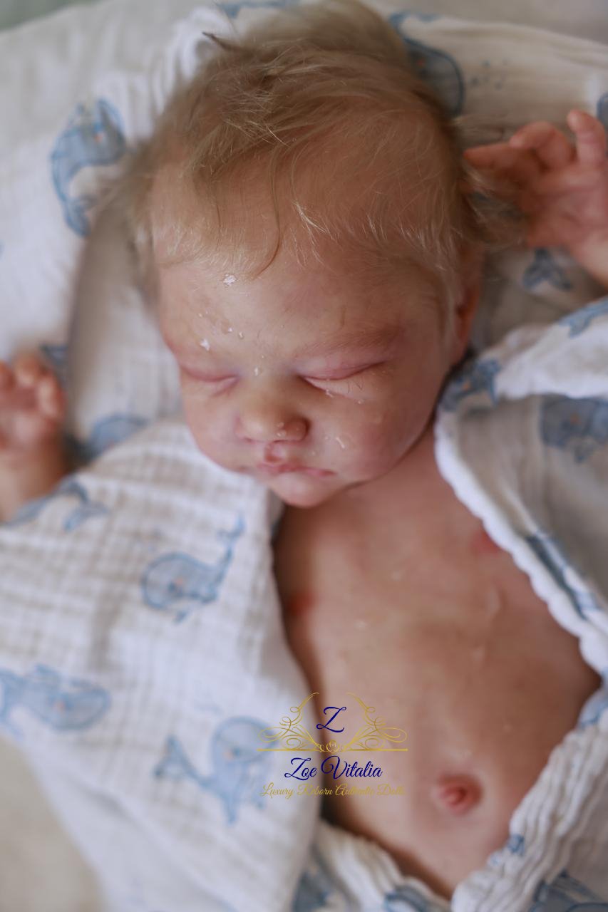 WhatsApp Image 2025-09-03 at 16.49.41 (2)